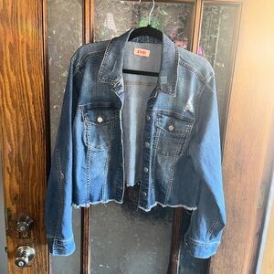 Cropped Distressed Denim Jacket